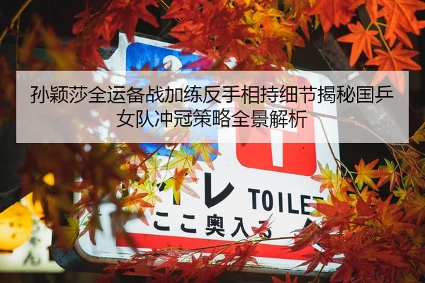 孙颖莎全运备战加练反手相持细节揭秘国乒女队冲冠策略全景解析